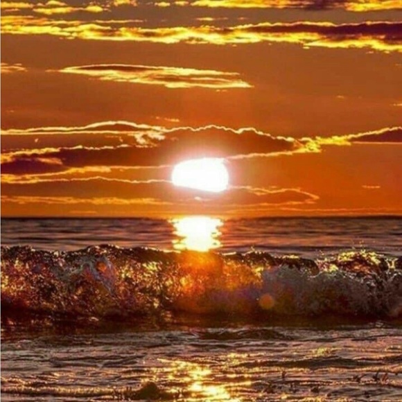 Mentor🤓 - Picture 13 of 16